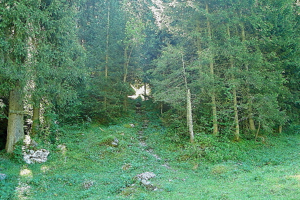 The starting-point of Bärenpfad (Bear Trail)