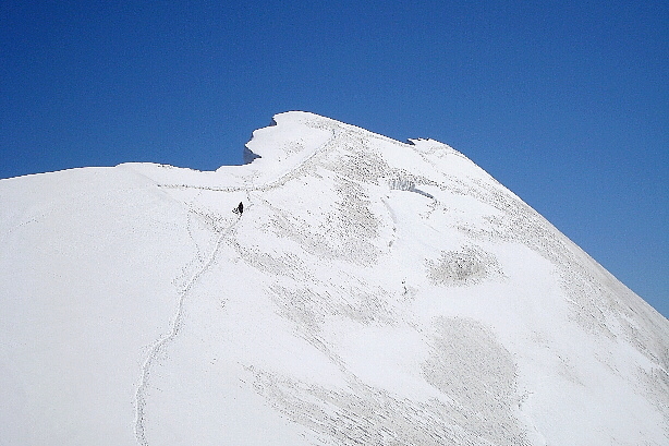 Zermatter Breithorn middle Summit (4159m)