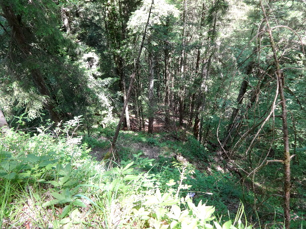 Descent to Zulg creek