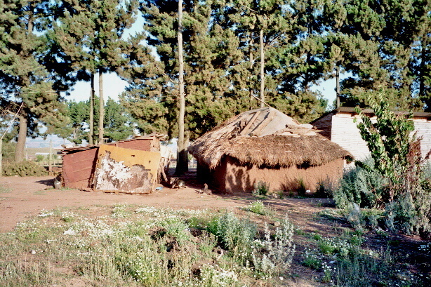 Ruca - Haus der chilenischen Urbevölkerung
