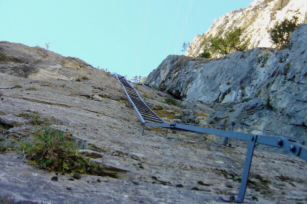 The Varner Ladders (Varner Leitern)