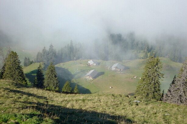 Alp Obere Drune