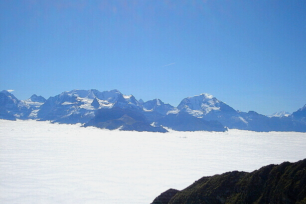 Tschingelhorn (3576m), Blümlisalp (3660m), Fründenhorn (3369m), Doldenhorn (3638m)
