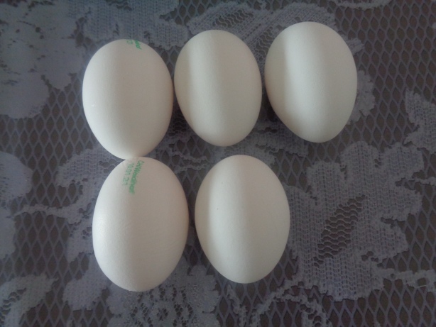 5 Eier