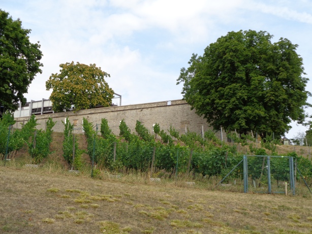 Fortress Petersberg