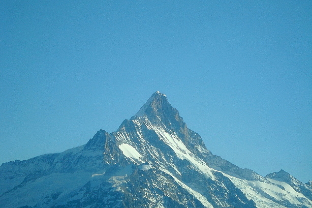 Schreckhorn (4078m)