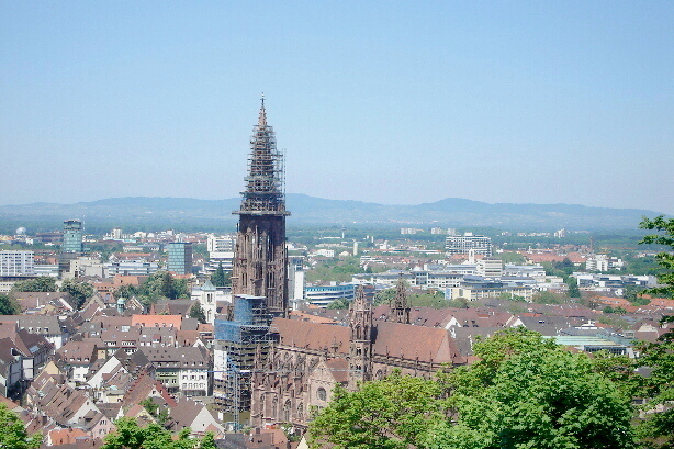 Das Münster