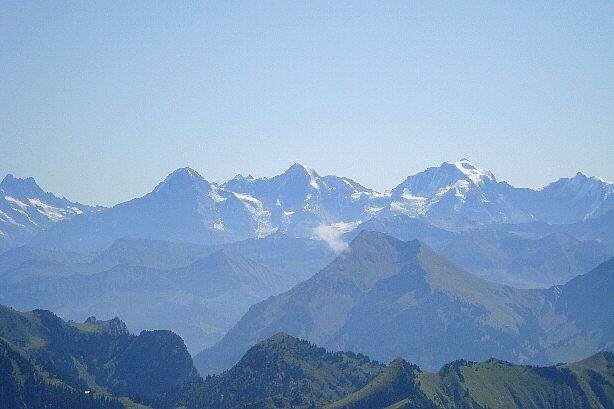 Schreckhorn, Sulegg, Eiger, Morgenberghorn, Mönch, Jungfrau, Niesen