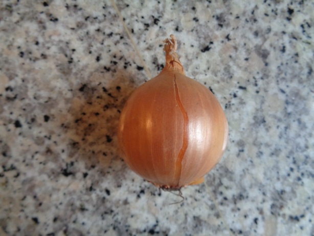 One onion