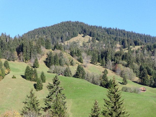 Bolberg (1800m)