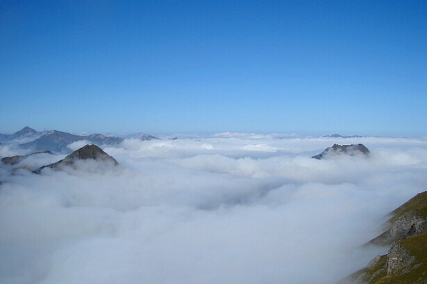 The sea of fog