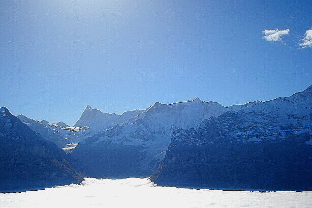 Finsteraarhorn (4272m) and Fiescherhörner (4049m)