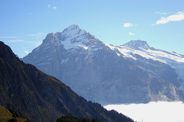 Wetterhorn (3692m) und Bärglistock (3656m)
