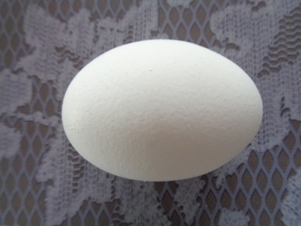 An egg