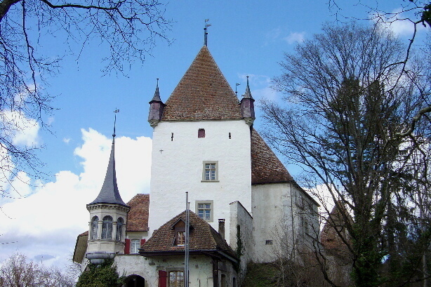 Castle of Worb