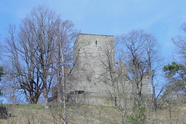 Ruins Tellenburg Frutigen