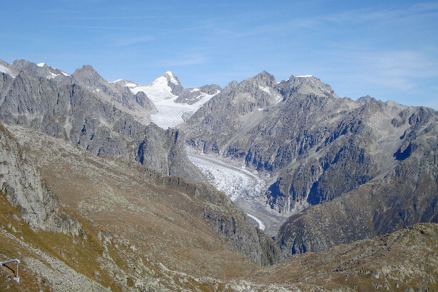 Oberaarhorn (3631m)