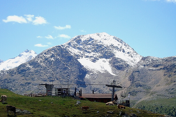 Piz Bernina (4049m), Piz Chalchagn (3154m)