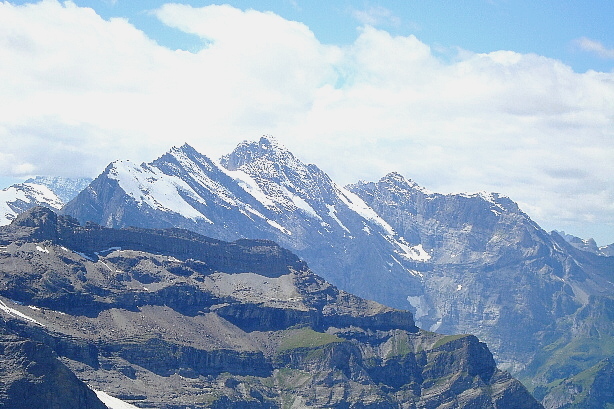 Schwarzmönch (2649m), Ellstabhorn (2830m), Tschingelspitz (3304m), Gspaltenhorn (3436m)