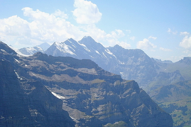 Schwarzmönch (2649m), Ellstabhorn (2830m), Tschingelspitz (3304m), Gspaltenhorn (3436m)