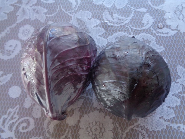 1.2 kolos of cabbage