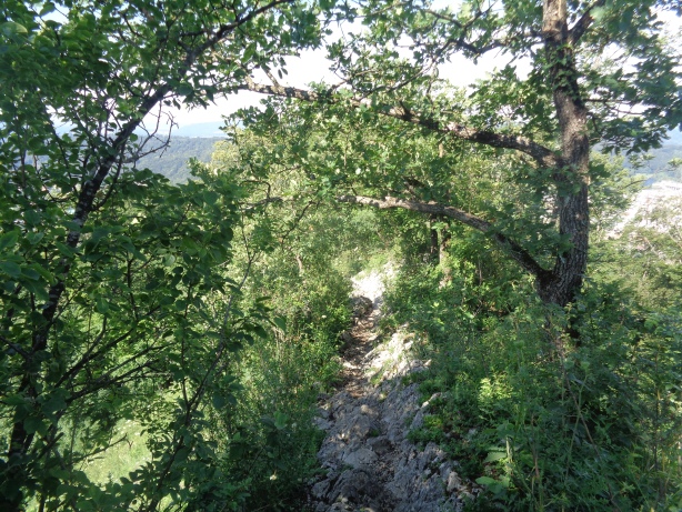 Path in the ridge