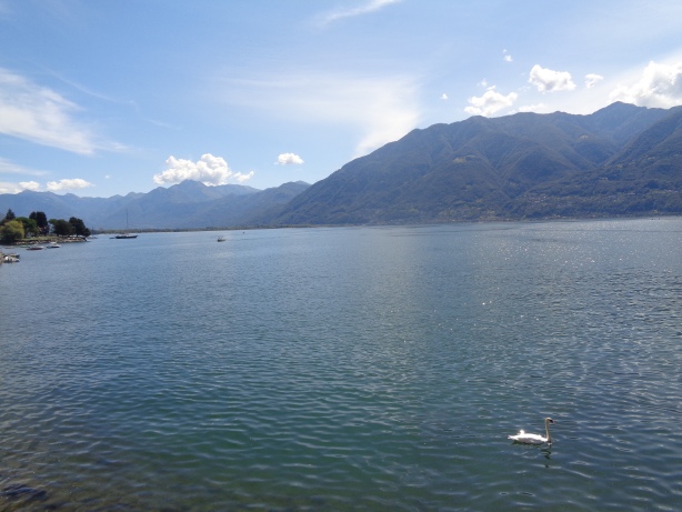 Lago Maggiore, Bacino Svizzero