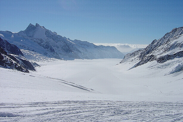 Fiescher Gabelhorn (3876m) and Great Aletsch glacier (Jungfraufirn)