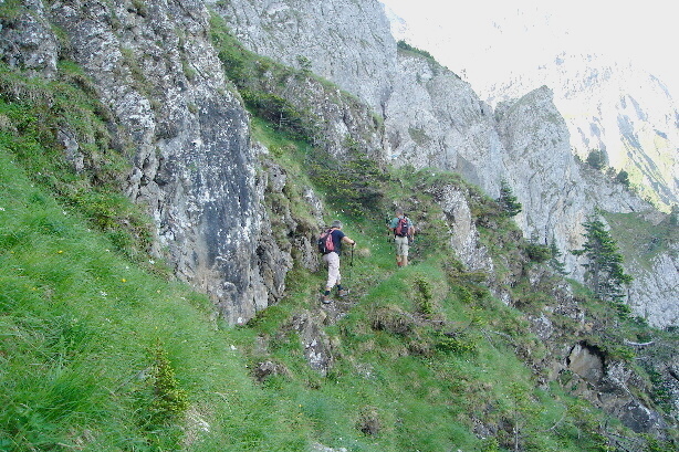 The starting point for the trail with the ladders