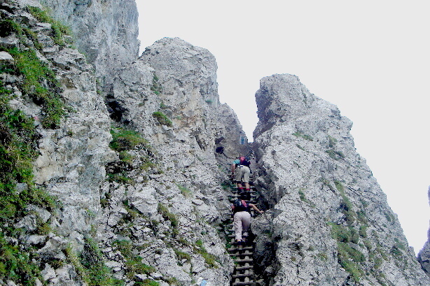 Trail of the ladders