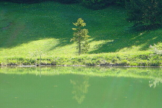 Lake Brunnemoos / See Brunnenmoos