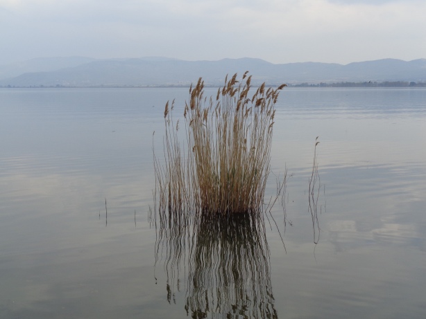Lake Dojran