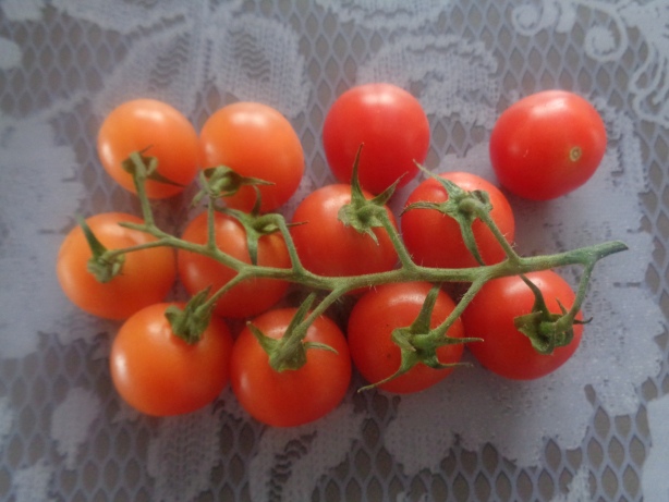 12 Cherry tomatoes