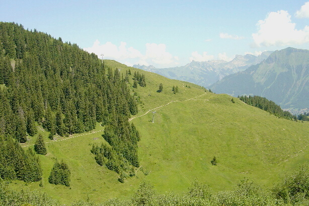 Mountain View Trail