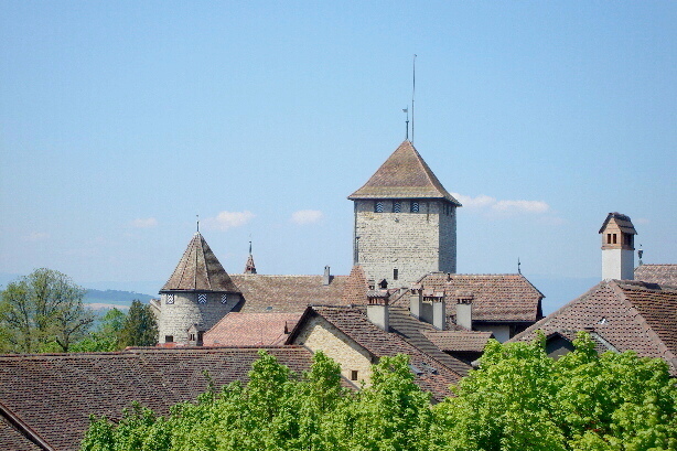 The castle from the town wall