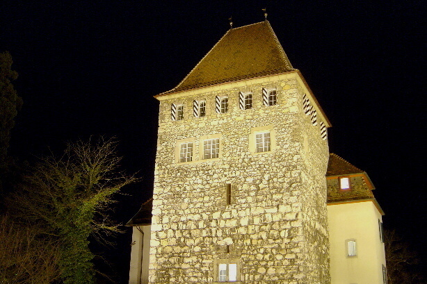 Castle - Aarau