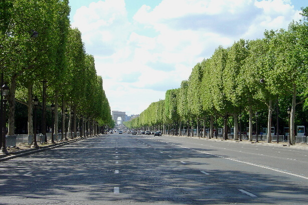 The Avenue des Champs-Elysées