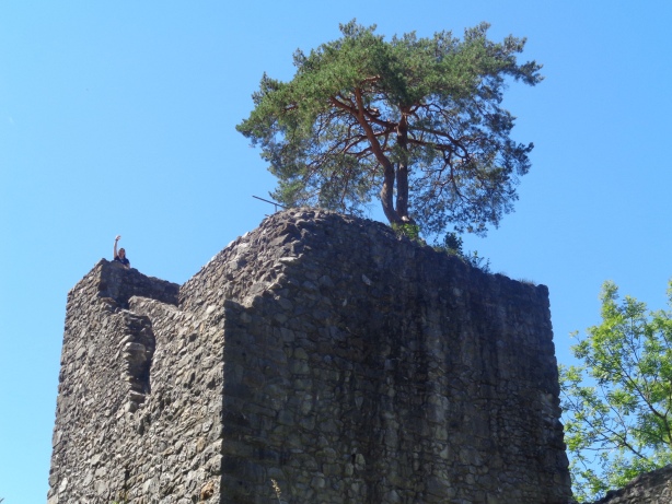 Ruine Weissenau