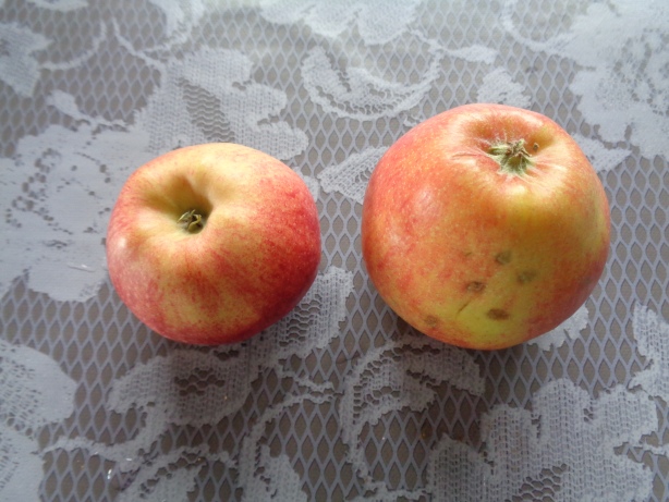 250 grams of apples