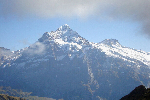 Wetterhorn (3692m) and Bärglistock (3656m)