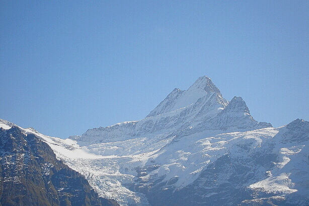 Upper Grindelwald glacier and Schreckhorn (4078m)