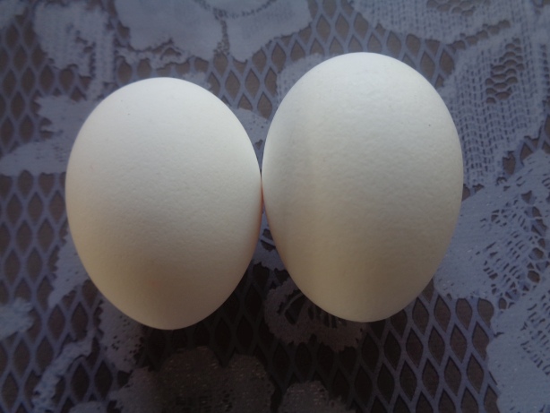 2 Eier
