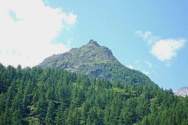 Bodmerhorn (2335m)