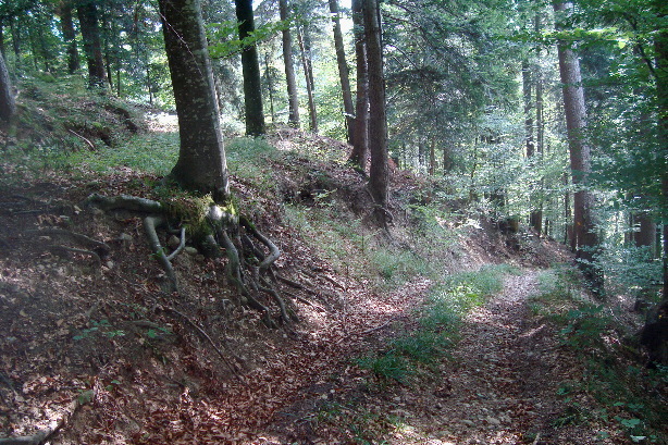 The trail to the canyon