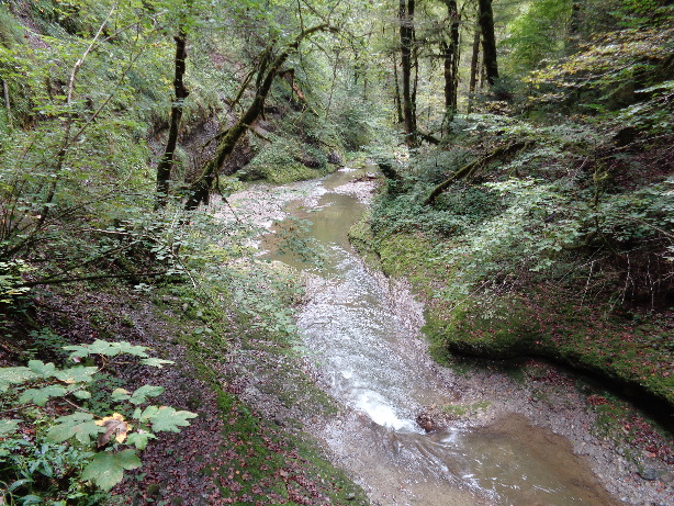 Rotache creek