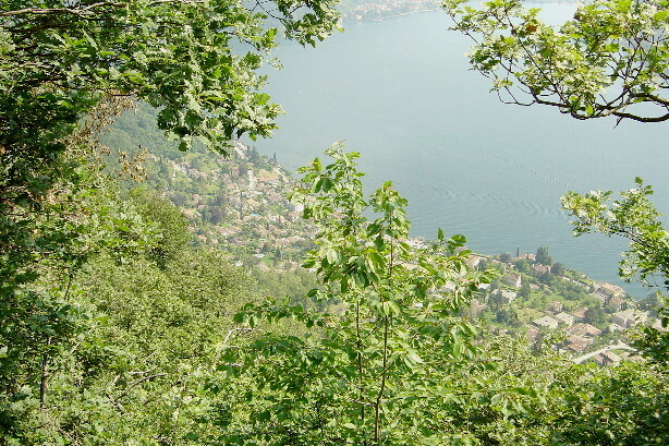 Morcote und Luganersee / Lago di Lugano