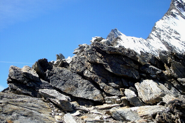 Gipfel Schwarzhorn (3620m)