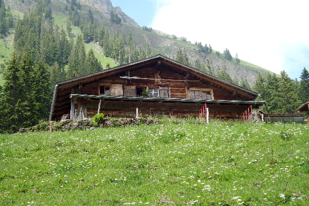Alp Oberhofner Berg (1450m)