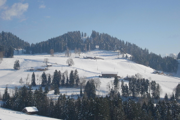 Winterberg (1217m)