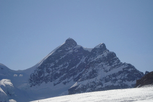 Jungfrau (4158m)